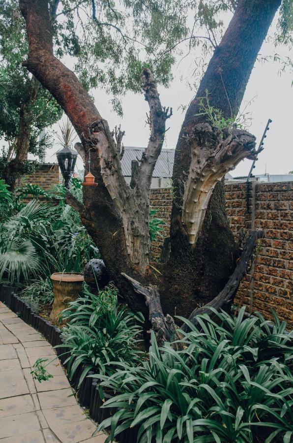 Towers Lodge Boksburg Dış mekan fotoğraf